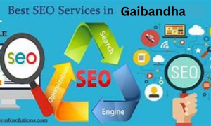 Best SEO Services in Gaibandha District